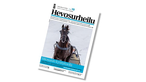 Rivercapes Frozen on Hevosurheilun kansikuvahevonen.