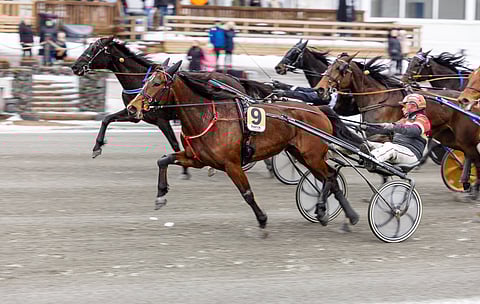 Donna Barosson edellinen startti päättyi Teivon divisioonafinaaleissa voittoon.