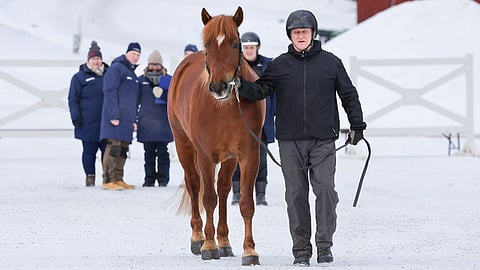 Caru ja Harri Sulku orinäyttelyss'