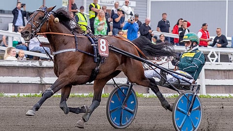 Leave Your Sox On starttaa Arctic Heat Kingissä.