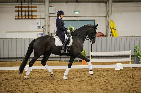 Elisabet "Ettan" Ehrnrooth oli jälleen lempinimensä veroinen ja otti Daytonan kanssa hallimestaruuden. 