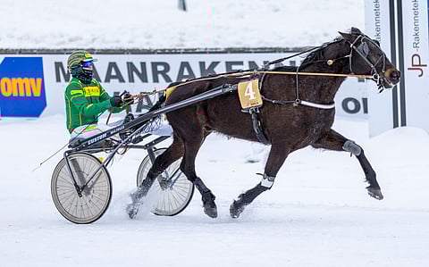 Jukka Torvisen ohjastama Field's Gimmick oli Rovaniemen Toto75-lähdössä keulasta omaa luokkaansa.