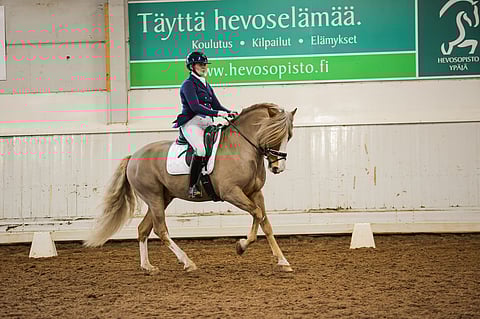 Ypäjä Paavo tuntui "paremmalta kuin koskaan". 