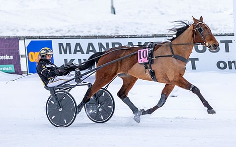 King Of Djazz ja Sandra Eriksson