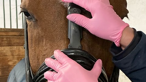 Tässä se nyt on käytössä, turparemmin mittauslaite eli noseband measuring device. 