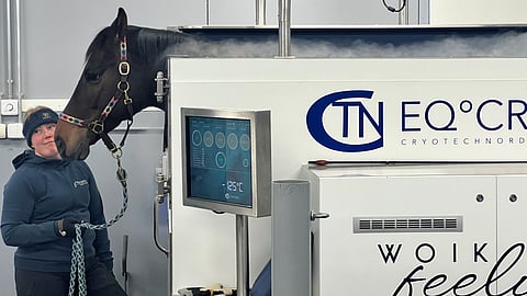 Kuuden minuutin kylmäshokki menee helposti. 