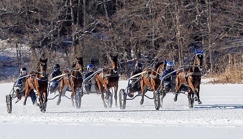 Treenilenkillä joukkoa johtava Arctic Fiona ja Pekka Korpi, toisena Fuego Combo ja Tuulia Ahjoniemi, Flory Combo ja Emil Havulehto ja porukan päättävä Spring Ale rattaillaan Jana Tsizevskaja. Nelikon rinnalla ravaa Jenina Hamarin ajama Go Gaga.