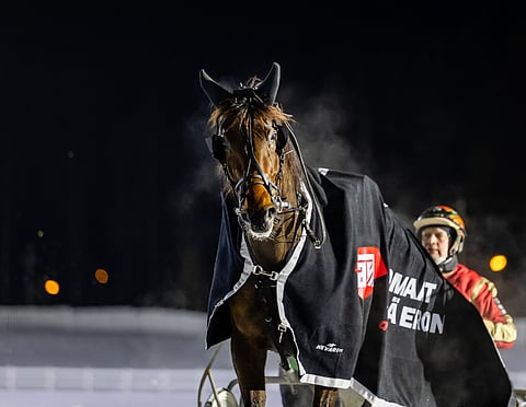 Gatlin Zet on yksi torstain T5-pelin avainhevosista. Tuomas Pakkanen ohjastaa valmennettavaansa.