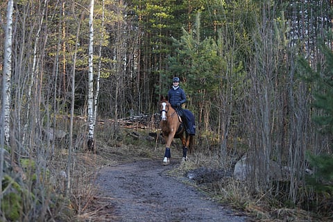 Hevonen ja ratsastaja puhuvat keskenään kehon kieltä. Kuvassa Palapeli-ryhmän primus motor Antti Lehtilä Grand Charmeurin satulassa. 