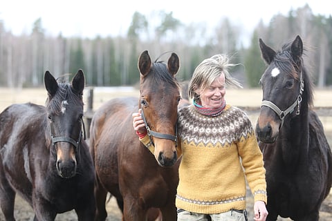 Pihatossa ovat vuotiaat, vasemmalla ravuri Pink Prosecco, sitten ratsu Quattro KS ja ravuri Chaine Artist. Ratsu on Quillanista ja ravurit Propulsionista.  Keskellä Eeva-Liisa Penttilä. 