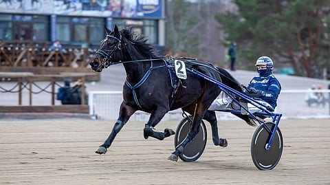 Prickly Rose ja Emma Väre