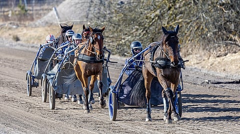 Treeniryhmässä peräkkäin Birchwood Beast ja Olli Koivunen, Skyfall Emily ja Niko Niinikoski, Mitch Match ja Jere Hurme sekä viimeisenä Pinball Newport ja Harri Koivunen.