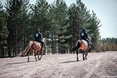 Niinisalon kangasmaastot ovat toimineet vuosikymmeniä kenttäkilpailujen järjestämispaikkana. 