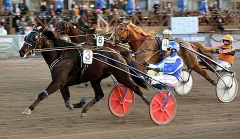 Ravihevonen ja raviohjastaja.