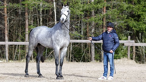 Oripäivien voittajaori on Casador. Esittämässä  Niclas Aromaa