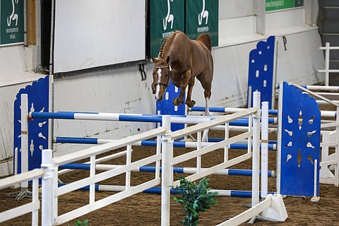  Coldfly KNR oripäivillä. 