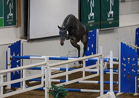 Qualle KS esiintyi rauhallisesti ja luottavaisena. 