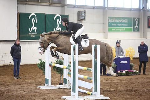 Ypäjä Paavo aloitti suorituskyvynkokeensa hyvin. Satulassa Iina Purontakanen, 