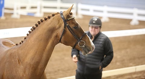 Kaisu Västinsalo ja Coldfly KNE. 