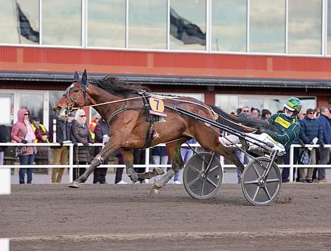 Jukka Hakkaraisen valmentaja Massimo Hoist saatetaan nähdä pian Suomen kansainvälisissä suurkilpailuissa.