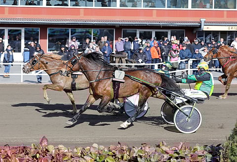 Caru ehti ulkoa Tuhti-Kersantin ja Landen Toivon tuntumaan. Tuhti-Kersantti vei Satakunta-Seniorin.