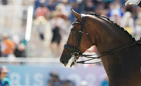 Kankikuolain vain osaaviin käsiin, todetaan uudessa brittitutkimuksessa. 