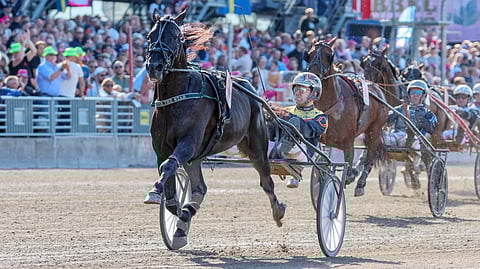 Castor The Star rattaillaan Mats E Djuse