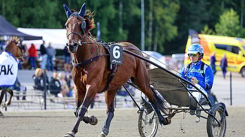 Jonny Länsimäki on ohjastanut Levitatingia pääasiassa itse, mutta on käyttänyt muitakin kuskeja. Uudenmaan Upein -finaalissa tammaa ohjastaa Santtu Raitala.