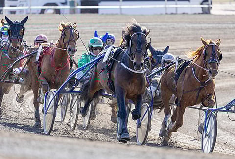 Comistus, Ari Moilanen