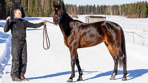 Stonecapes Yaguar aloitti uransa voitolla valmentajansa Jukka Hakkaraisen ohjastamana.