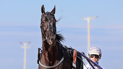 "Bollnäsin startti varmasti herkisti sitä, ja se parantaa 
paljon Seinäjoelle", Borups Victoryn valmentaja Daniel Wäjersten luonnehtii.