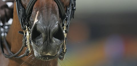 Tässä vireystila on korkea. 