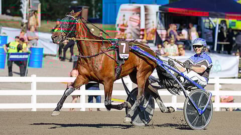 Sahara Sandstorm ja Ville Tonttila