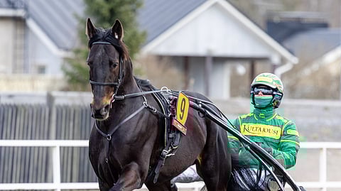 Porin Kultaloimessa ensituntumaa Atupemiin ottanut Jukka Torvinen jatkaa myös lauantaina Oulussa oriin ohjissa.