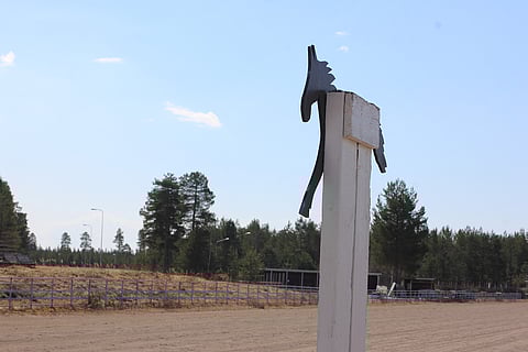 Hevosenomistaja haluaa, että hevonen ja laji ovat häntä lähellä, 
kirjoittaa Kari Eriksson. Kuva Virpiniemeltä.