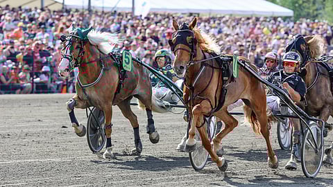 Lumi-Oosa ja Sirpsakka