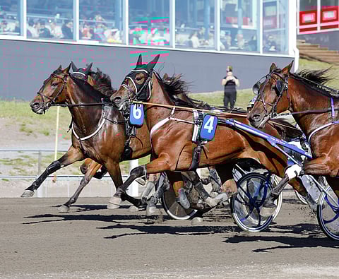 Fonte (4) jatkaa uraansa Okko Mikkosen valmennuksesta.