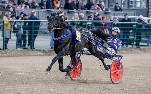 lämminveriravuri Crepe Match rattaillaan Olli Koivunen.