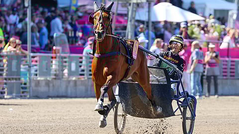 Decision Maker tunnetaan starttinopeudestaan.