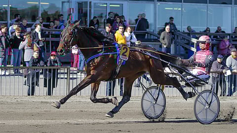 Kalsarikännit ja Santtu Raitala Forssa 11.5.2024