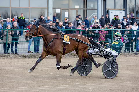 Massimo Hoist sijoittui Seinäjoki Racessa kakkoseksi.