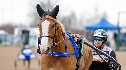 Stallone joutui pienelle sairaustauolle viikonloppuna.