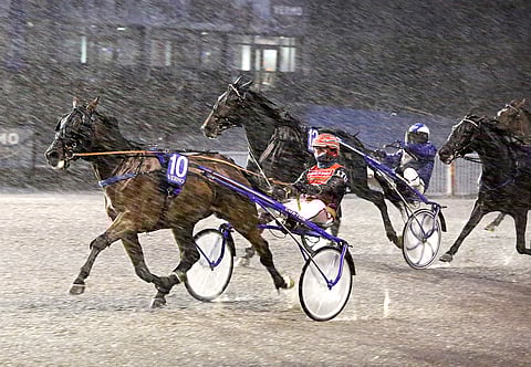 Bienvenuen aloitti uransa voitolla viime lokakuussa Vermossa.