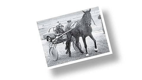 Kuva-arvoitus: tunnistatko kuvan hevosen ja ohjastajan?