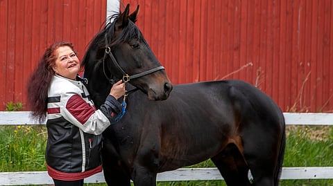 Teija Särkelä ja Goosebumps