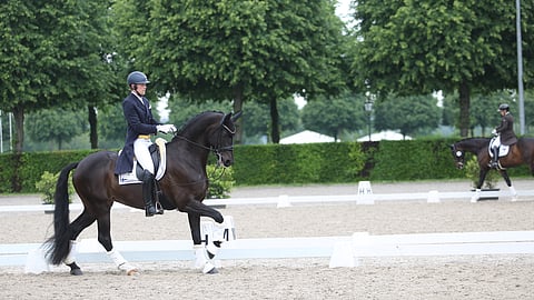 Henri Ruoste ratsasti Mannheimissa kevyellä kankiohjalla.
Tämä kuva on kuitenkin otettu Aachenissa vuonna 2024.  