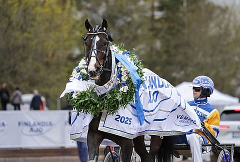 Daniel Wäjerstenin tallin Mellby Jinx sai Finlandia-seppeleen kaulaansa hienon kirivoiton myötä.