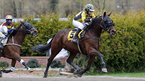 Elina Pakkasen ohjastama J.J.Dragon purjehti montéssa ykköseksi.