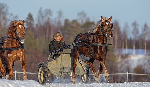 Seppo Suuronen ja Carambo treenilenkillä.