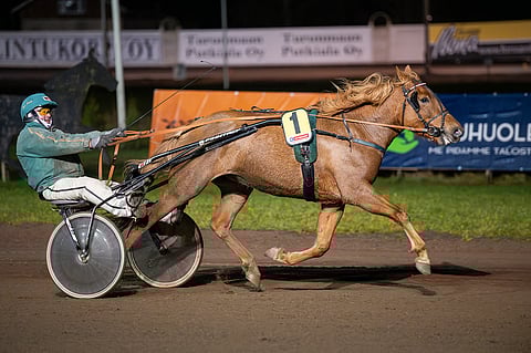 Winnovalle mieleinen kavioura löytyy Forssasta. Siellä tamma on kilpaillut kahdesti ja voittanut molemmilla kerroilla.